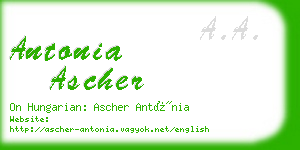 antonia ascher business card